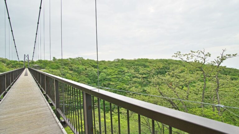 10 Things to Check Before Choosing a Wire Rope Manufacturer in India