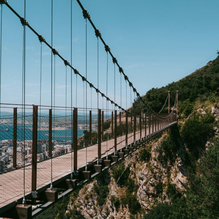 Anil Bedmutha Blog - Square Size Images - - 22